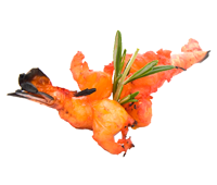 Tandoori Specialities